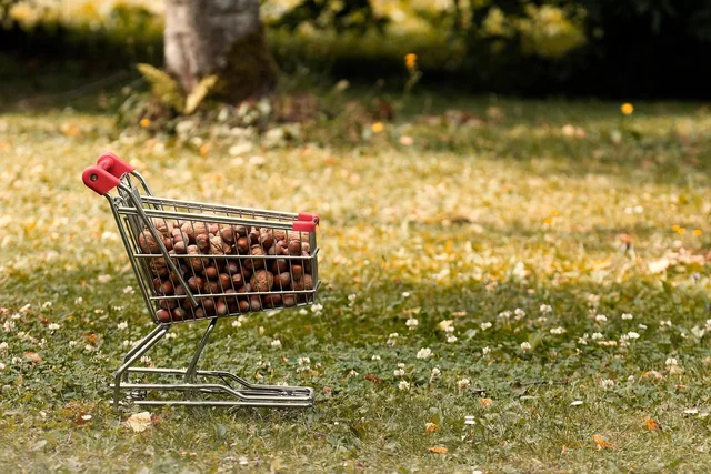 shopping venture, walnuts, hazelnuts, feed, tasty, food, shell, nuts, meal, walnut, brown, yummy, nut mix, walnut collection, nourishment, snack. How to keep a change log for shopping feeds