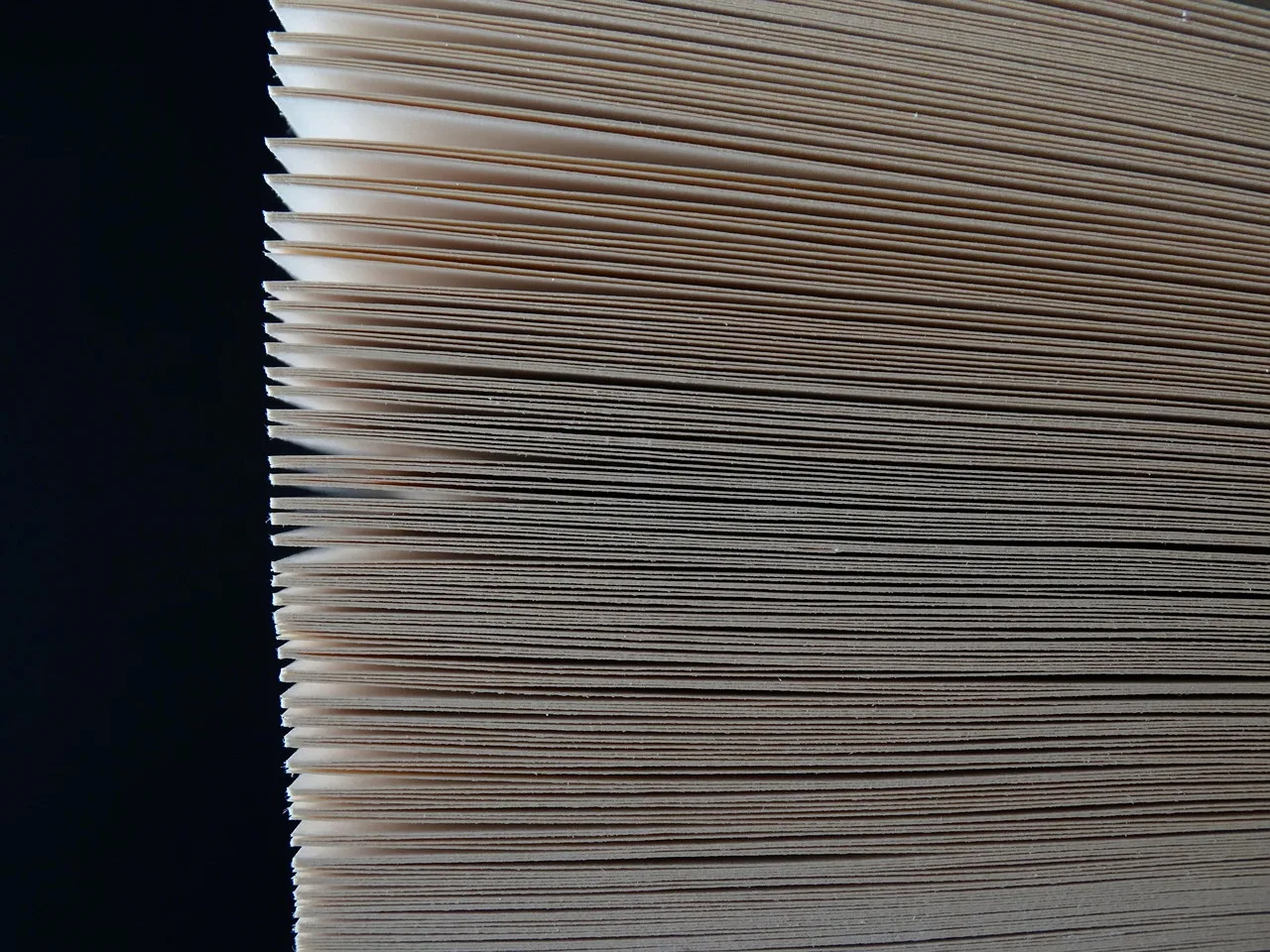 leaves, stack, order, structure, nature, aligned