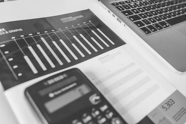 calculator, numbers, accounting, charts, graphs, finance, macbook, laptop, computer, technology, gray computer, gray technology, gray laptop, gray finance, gray numbers, gray accounting, accounting, accounting, accounting, accounting, accounting, finance. Shopping feeds competitor research using free sources